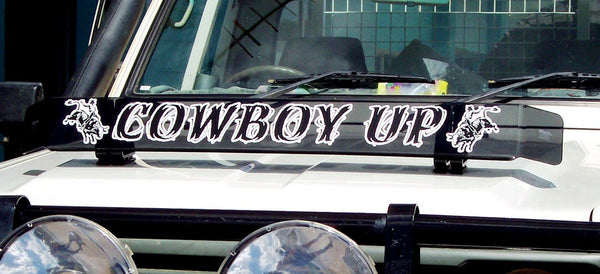 Rodeo Bull Rider Bug Deflector Stickers (Pair)