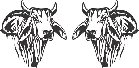 Brahman Cow & Calf Sticker (Pair)