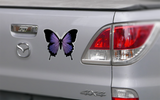 Ulysses Butterfly Sticker (Pair)