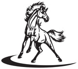 Spinning Horse - 'Come In Spinner'