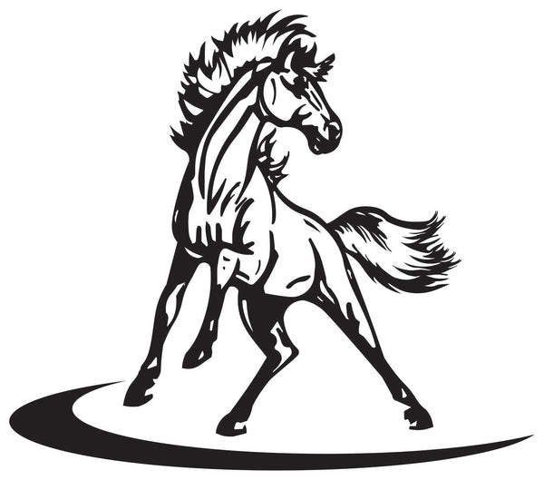Spinning Horse - 'Come In Spinner'