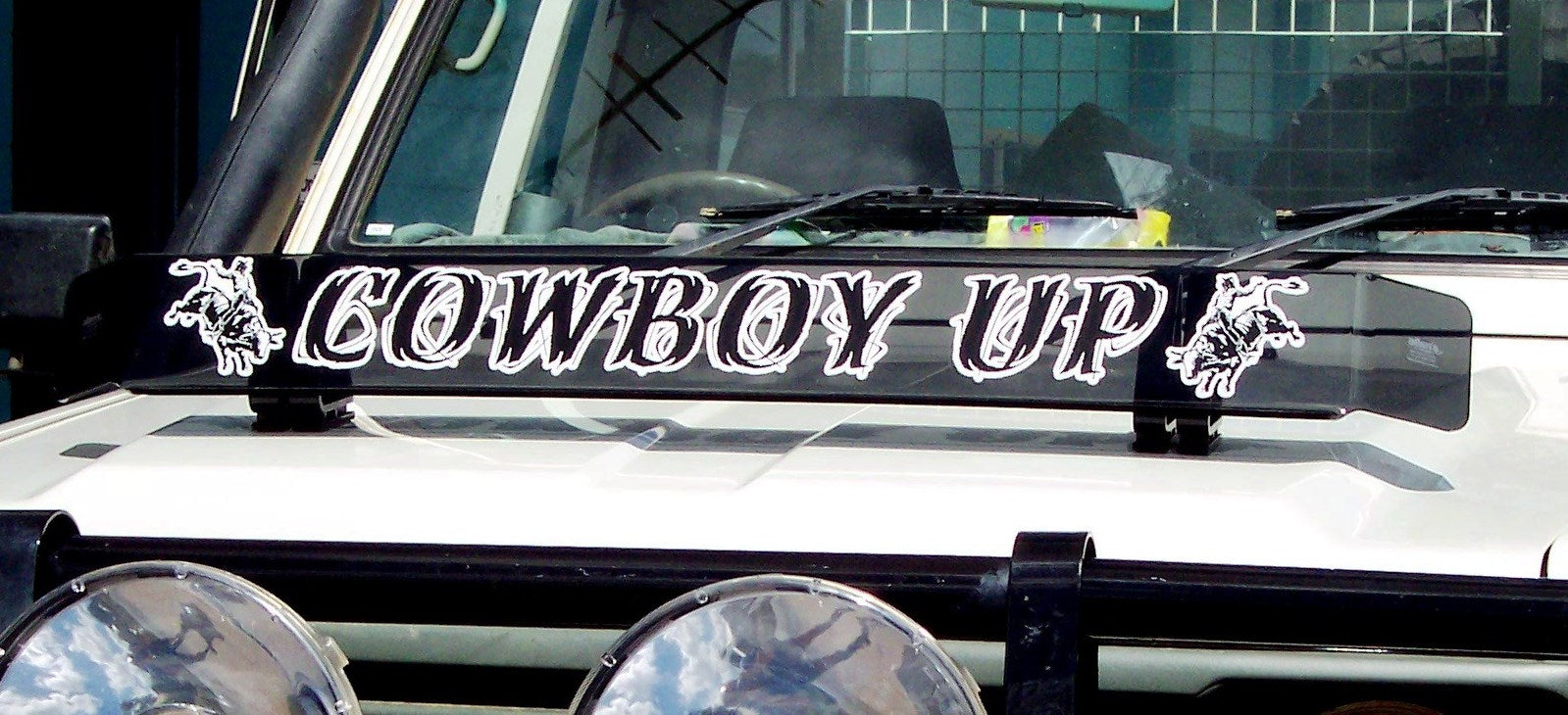 Bug Guard Sticker Rodeo Bull Rider Bug Deflector Stickers (Pair) – Allens Tint & Signs