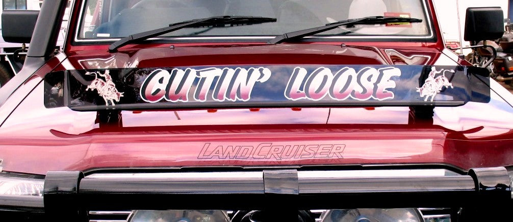 Bug Guard Sticker Rodeo Bull Rider Bug Deflector Stickers (Pair) – Allens Tint & Signs